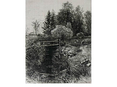 Albert Bellows